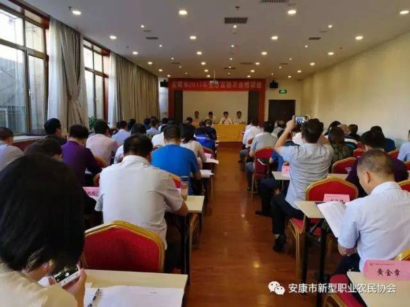 安康家政公司的服务是否值得信赖？让我们从多个维度进行对比分析。